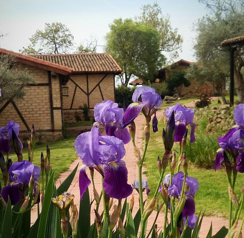 Hotel Rural Hosteria Fontivieja Losar De La Vera Esterno foto